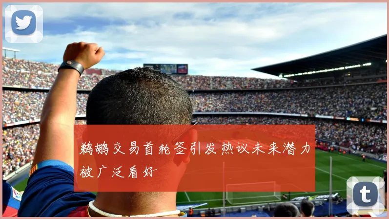 鹈鹕交易首轮签引发热议未来潜力被广泛看好