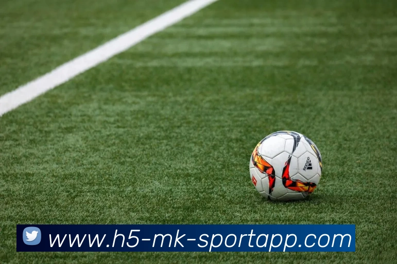 MK体育平台生态图